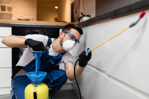 Best Affordable Pest Control Services  in Sparta, GA