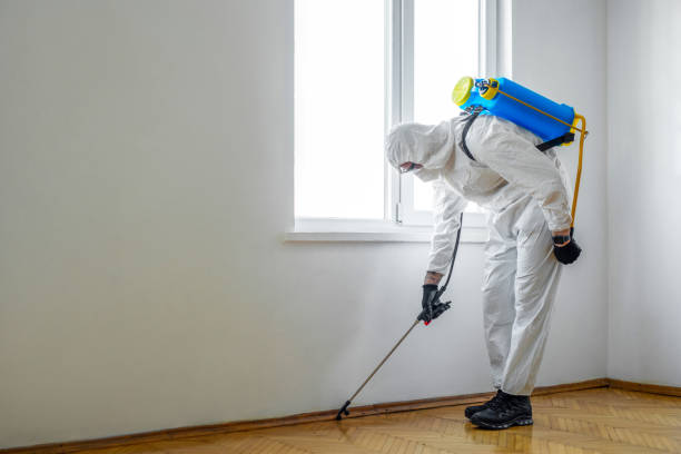 Best Rat Extermination Near Me  in Sparta, GA