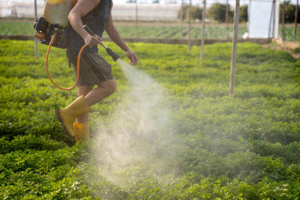 Best Pest Removal Services  in Sparta, GA