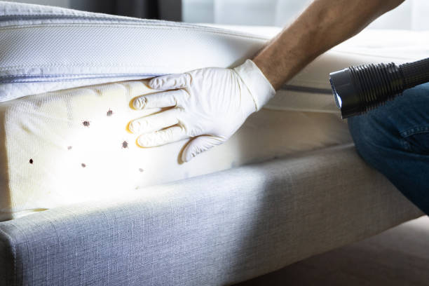 Best Pest Control Near Me  in Sparta, GA