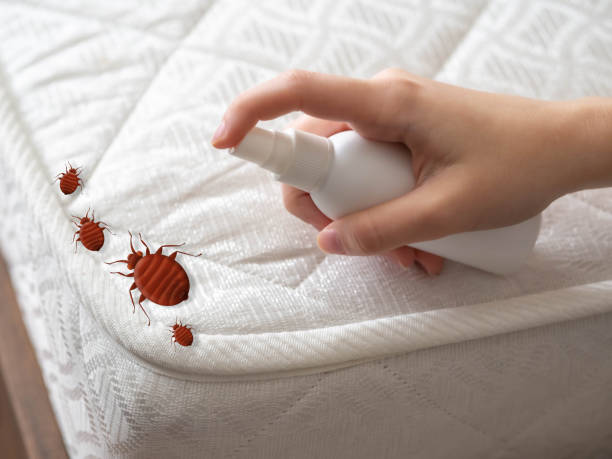 Best Affordable Pest Control Services  in Sparta, GA