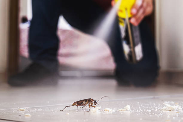 Best Residential Pest Control  in Sparta, GA