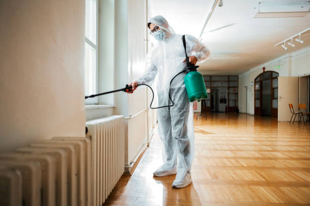 Wasp Removal Services in Sparta, GA