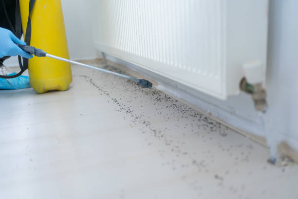 Best Local Pest Control Services  in Sparta, GA