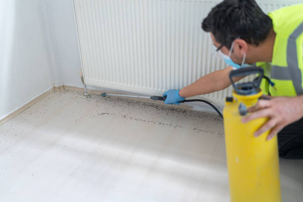 Best Pest Inspection Near Me  in Sparta, GA